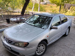 Nissan Primera foto 2