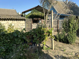 Casă de locuit  foto 3