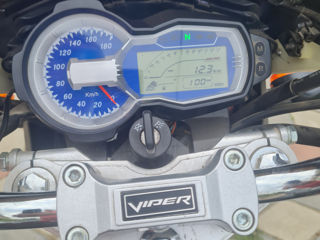 Viper 250 foto 4