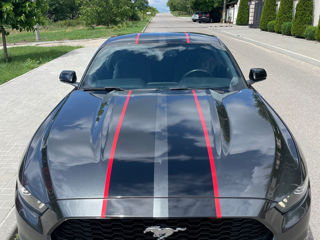 Ford Mustang foto 1