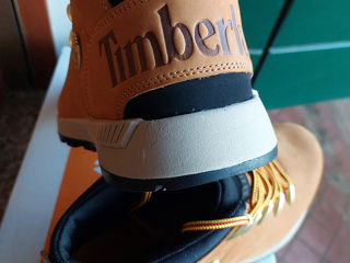 Timberland foto 4