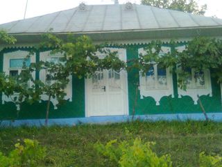 Casa, s. Fintinita, raionul Drochia foto 1