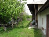 Satul Cioburciu 200 metri de la Nistru, 60 metri  la padure, 109 km de la Chisinau, 93 km Zatoka foto 1