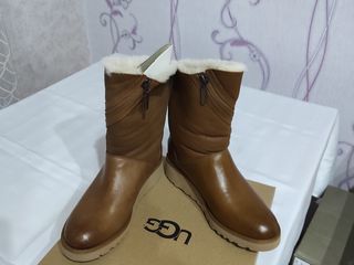 ugg 37
