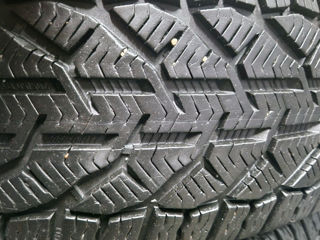 Riken 205/50 R17 зима foto 2