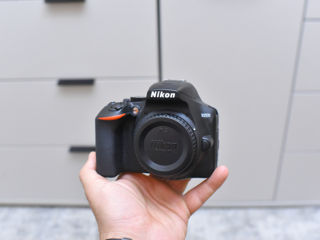 Nikon D3500 Kit (3000 de cadre) foto 0