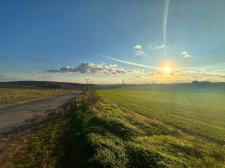 Vindem 46 sote teren agricol intrare Colonita foto 2