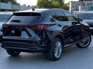 Lexus NX Series foto 4