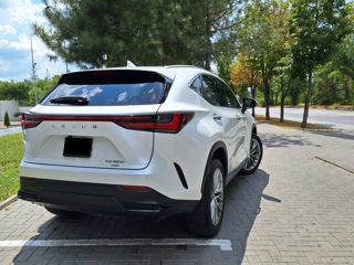 Lexus NX Series foto 2