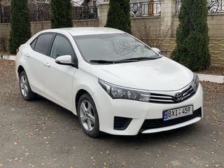 Прокат авто/chirie auto/rent car foto 1