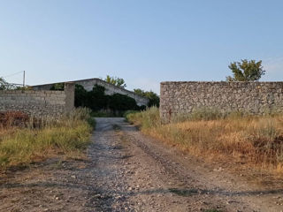 Oferim in chirie spatiu, 1695.6 m2 in or. Floresti ( distanta de 1 km de la traseu principal) foto 8