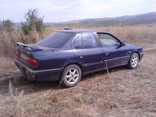 Nissan Primera foto 1