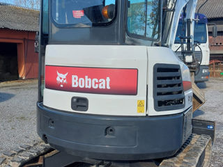 Bobcat foto 3