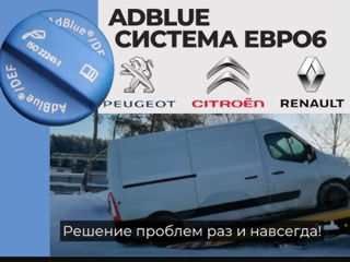 Трактор или экскаватор простаивает из-за DPF и AdBlue? Решим быстро! foto 6