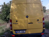 Mercedes Spri316. Anul 2010 foto 4