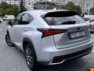 Lexus NX Series