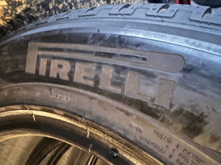 R20 255/55 Pirelli Scorpion Winter foto 6