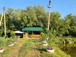 Foisor linga lac, in apropiere de Chisinau