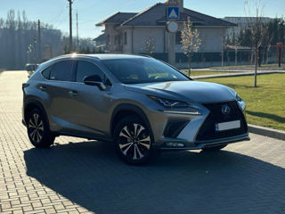 Lexus NX Series