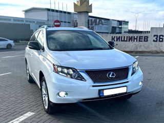 Lexus RX Series