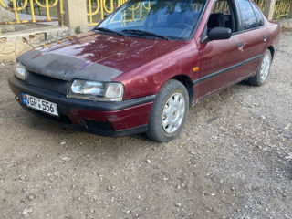 Nissan Primera foto 1