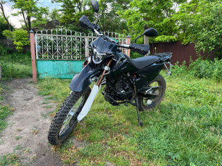 Viper 003 foto 5
