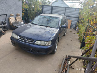 Piese Nissan Primera P11