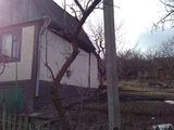 Vind casa фото 2