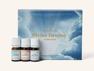 Ulei Divine Destiny