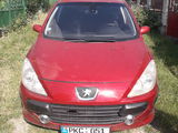 Peugeot 307 foto 1