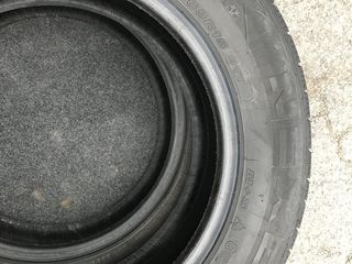 195/65 R15 Nexen идеальные!! foto 3