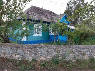 Casa satul Napadova, raionul Floresti, 200m de la riul Nistru. Loc Ideal pentru pescari si vinatori. foto 1