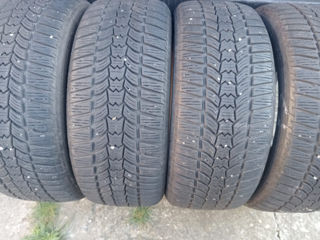 215 50 R17 Sava (Goodyear) de iarna