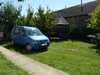 Casa de locuit   -   Cimislia s.Valea Perjei foto 3