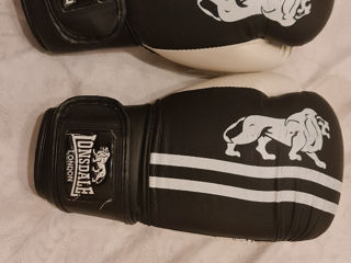 Mănuși de Box 16oz Everlast foto 2