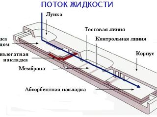 Ветеринарные услуги. Вызов врача на дом foto 4