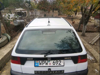 Seat Ibiza foto 6