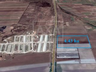 Vânzare teren agricol, 440 ari, satul Țânțăreni foto 4