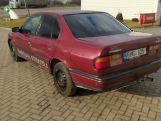 Nissan Primera foto 5