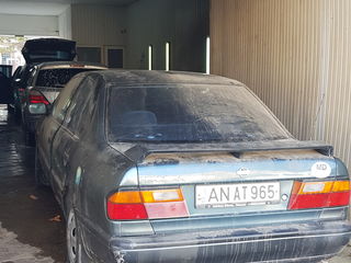 Nissan Primera foto 4