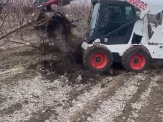 Bobcat, camioane, miniexcavator. apeduct, Demolarea, Gunoi. foto 5