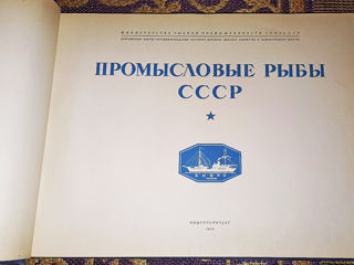 Продам альбом Промысловые рыбы СССР 1949 года foto 3