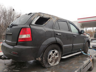 KIA Sorento foto 3