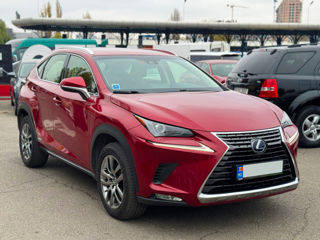 Lexus NX Series foto 3