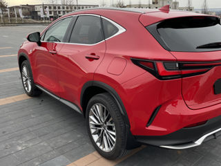 Lexus NX Series foto 4