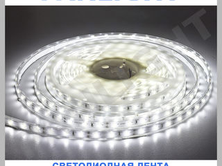 Светодиодная лента в Молдове, panlight, светодиодное освещение, rgb, led лампы, LED подсветка foto 2