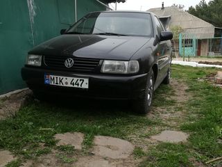 Volkswagen Polo foto 1