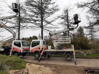 Curățim copaci  de înălțime mare cu mașini Autoturn și toate echipamentele necesare! foto 4