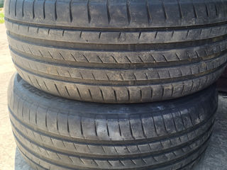 225 55 r17 vara 2023 foto 1