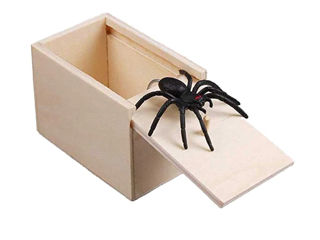 Cutie păianjen foto 3